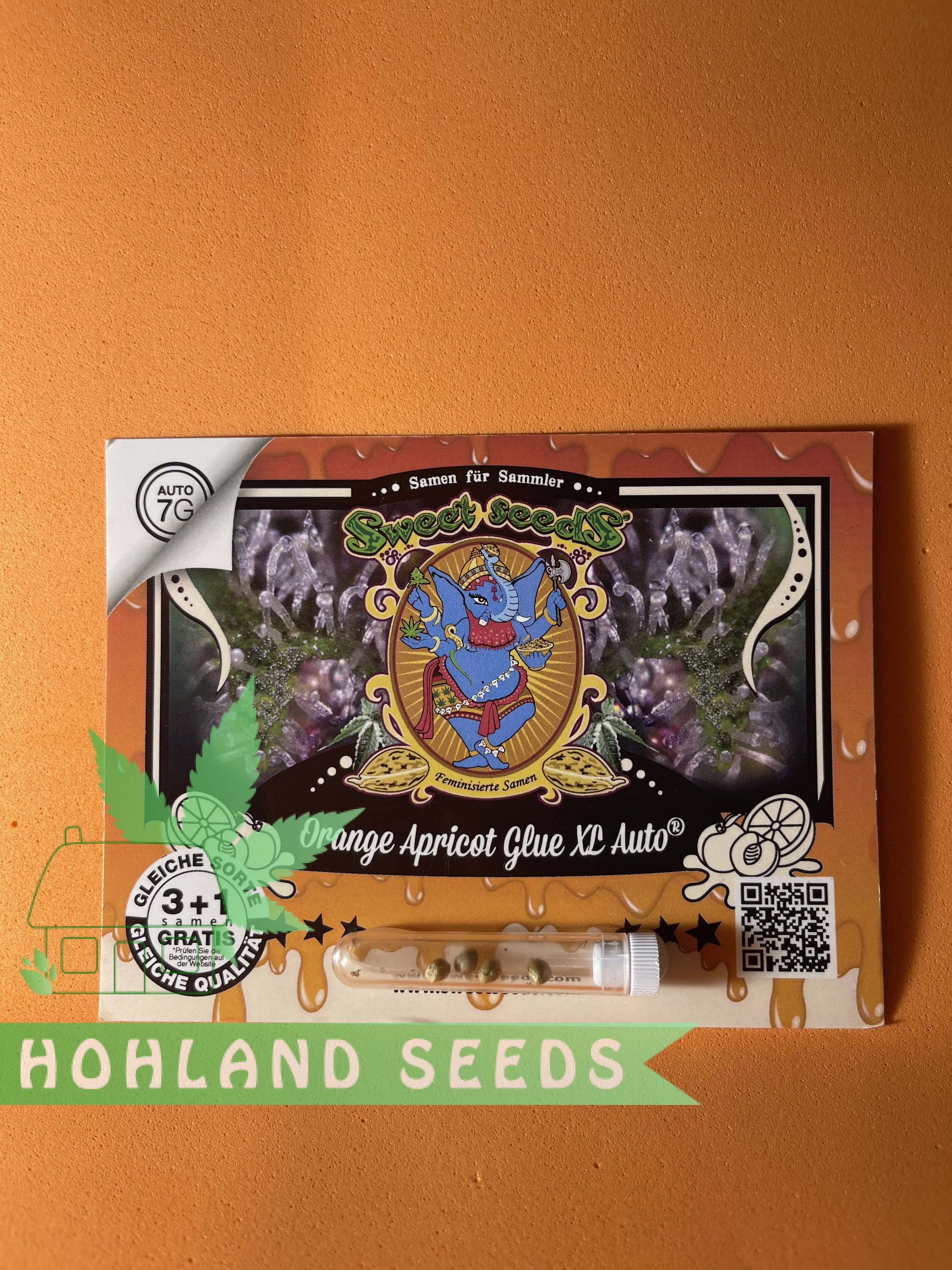 Orange Apricote Glue XL Auto Orange Apricote Glue XL Auto